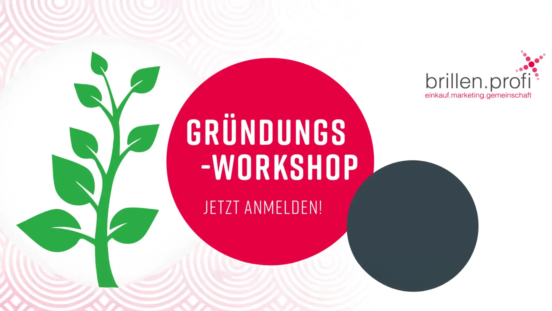 Gründungsworkshop in Würzburg für angehende Augenoptiker: Praxisnahe Orientierung für den Weg in die Selbstständigkeit