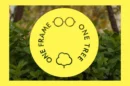 Nachhaltige Brillen Part 4: Eco Eyewear pflanzt 4,2 Mio. Bäume mit “One Frame, One Tree”-Programm
