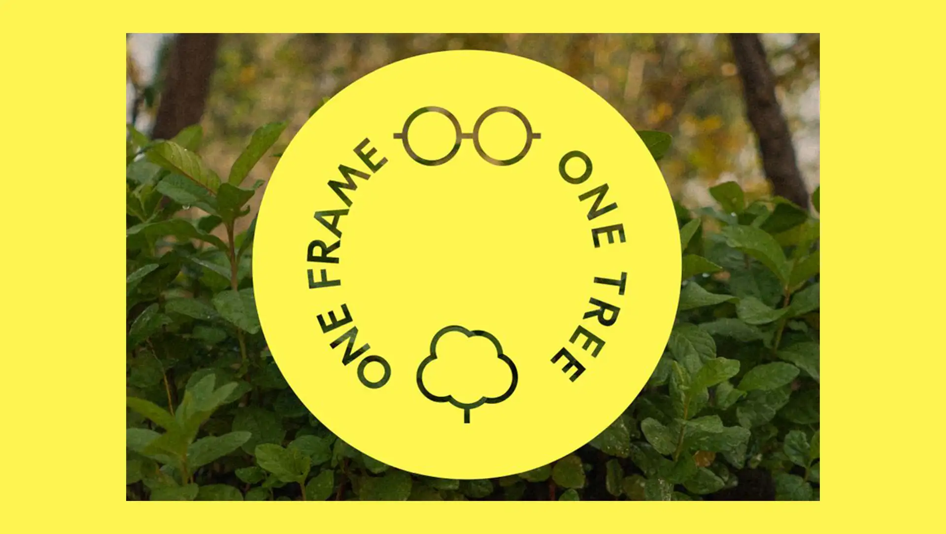 Nachhaltige Brillen Part 4: Eco Eyewear pflanzt 4,2 Mio. Bäume mit “One Frame, One Tree”-Programm