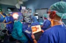 Netzhaut Implantat bei AMD: PRIMA soll zentrales Sehen erstmals teilweise wiederherstellen