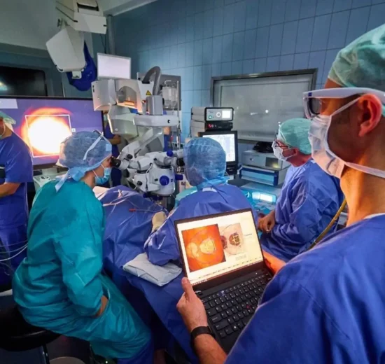 Netzhaut Implantat bei AMD: PRIMA soll zentrales Sehen erstmals teilweise wiederherstellen