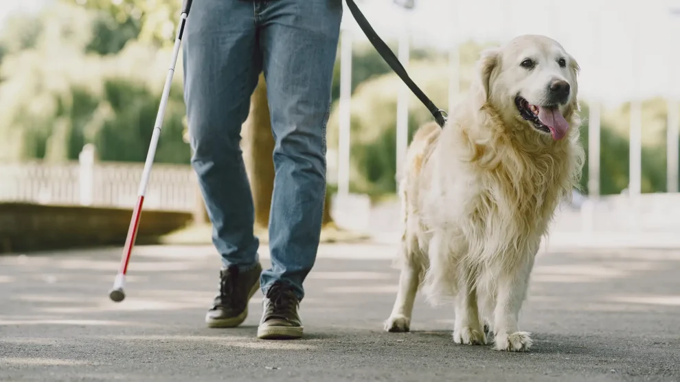 Pauschale für Nebenkosten bei Blindenführhunden vor dem Aus