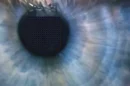 Retina-E-Ink für XR-Geräte: Wie ein schwedischer Forschungsansatz die Displayentwicklung neu denken lässt