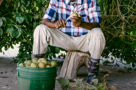 Bild: © Eco Eyewear