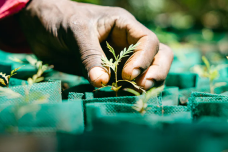 Bild: © Eco Eyewear