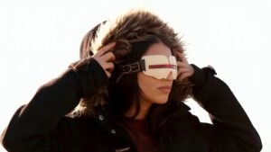 THE INUIT GLASSES